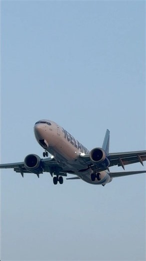 Iceland Air Boeing B737 MAX8 landing final approach into KSEA#iceland #planespotting #boeing737