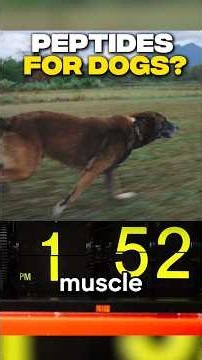 Do Peptides Work for Dogs? #dogs
