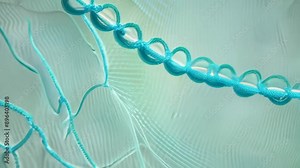 A close-up view of a cell's structure, revealing a network of interconnected membranes