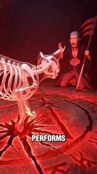 Which Akatsuki Member Would Adopt You as a Cat