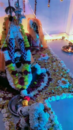 Tere dware 🌹🙏🌹#bhajan #love #bhaktivibes #bhakti #song#devotional #mahadev #spirituality #shiv #om