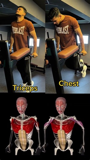 Chest Dips vs Triceps Dips – What’s the Real Difference?