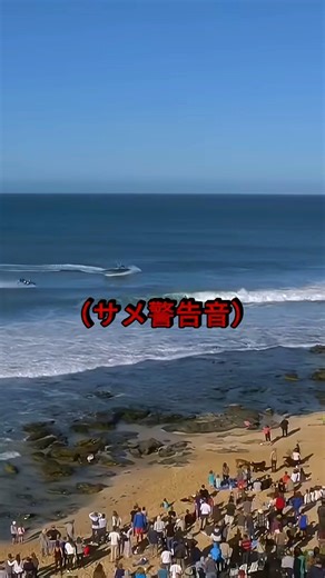 対戦相手がサメに襲われた瞬間