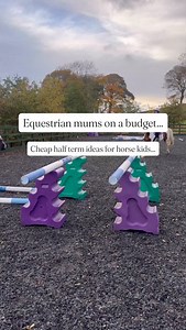 Keeping kids in ponies isn’t cheap and the influence of social media normalising children having multiple ponies, multiple saddles, eleventy billion saddle pads and being at a new shiny venue every other day can really detract from the true spirit of what it is to have horses. We feel it as adults so of course the kids feel it. Comparison really is the thief of joy. As parents many of us have to make enormous sacrifices to allow our children the privilege (and it really is a privilege) of growin