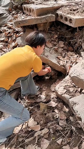 9.7K views · 50 reactions | #RabbitLove #BunnyLife #CuteRabbits #RabbitCare #PetRabbits #BunnyAdventures #RabbitCommunity #FluffyFriends | Adorable Fat Rabbit | Facebook