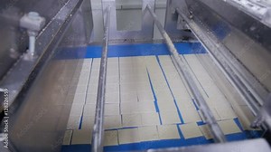 Biscuits moving on conveyor. Cookie, cracker Biscuits production line. 4K