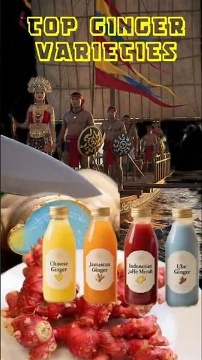 Top 6 Ginger Varieties Around the World #Blueginger #redginger #permaculture #foodforests