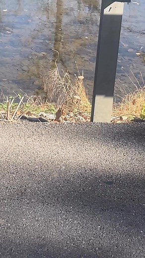 5 comments | Still waters run deep. Never trust standing water. | Sunny Stitches | Facebook