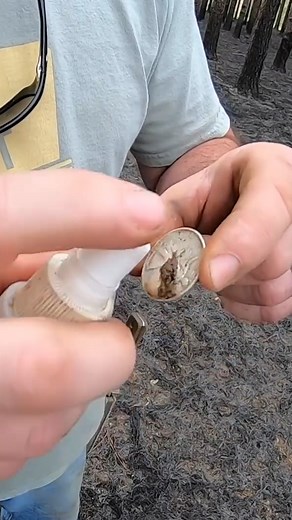Relics of the Past Unearthed... | History Seekers