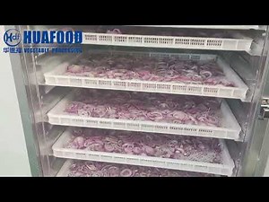 洋葱粉生产线全过程 从红洋葱到细粉onion powder production line.