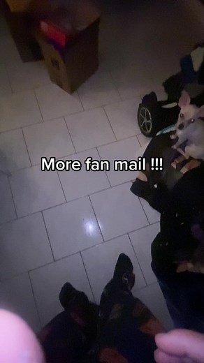 Peachybbies Fan Mail Unboxing and Review