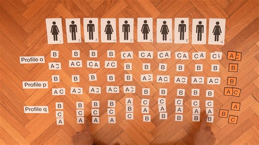 Is democracy mathematically impossible?