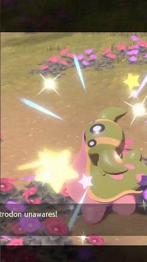 ✨Shiny Gastrodon in Pokémon Legends Arceus