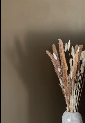 Choosing the Perfect Brown Color for Your Home