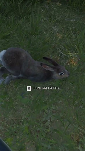 The Mr.Cottontail Saga continues | #atamisk909 on #Twitch #gameplay