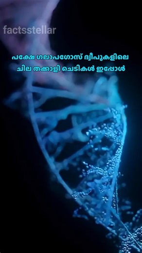 Did Evolution Just Go Backwards? #shorts #universe