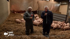 Cédric Perrocheau, éleveur de porc Bio à Bournezeau - La Vendée en Direct