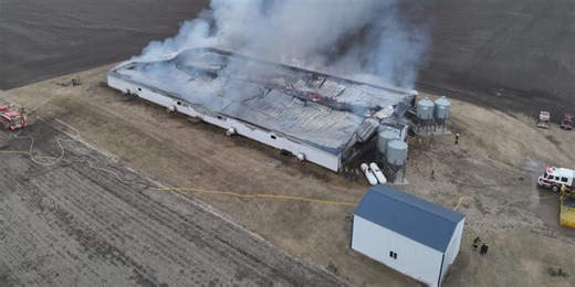 Hundreds of pigs dead in hog confinement fire in Sioux County, Iowa
