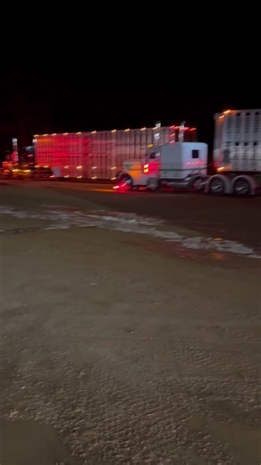 Spotted this convoy in shamrock, Saskatchewan. 5 beauty trucks with 4 axle pots #albertaprime