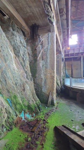 This Mill Reveals Nature's Takeover #decay #exploration