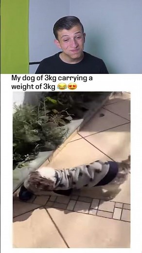 Try Not to Laugh Challenge! 😂 174