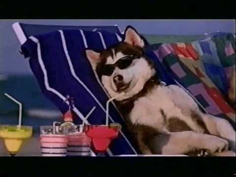 Disney Snow Dogs Trailer
