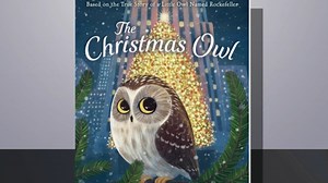 Rockefeller Christmas Tree Stowaway Owl Inspires New Children's Book