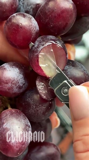 Beretta M92 Multitool - Wooden Black 12 #miniature #csgo #military #shorts #toys #outdoors #edc