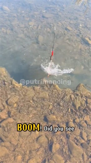 Calm Water… Then a Sudden EXPLOSIVE Fish Strike! 🎣 #fishing #fishingvideo #shorts