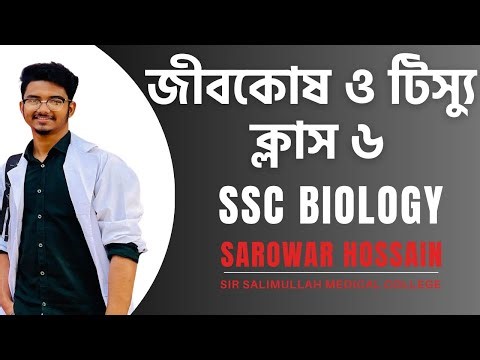 SSC Biology Chapter 2 Class 6