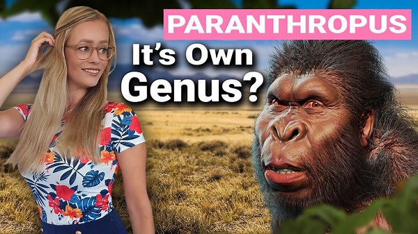 Paranthropus: A Deep Dive Into History