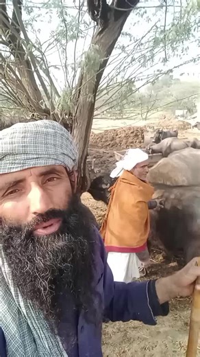 Mosin Sial 70 Ala (@mosin.sial.70.ala)’s videos with original sound - Mosin Sial 70 Ala