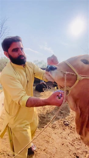 #happyvillagefamily #foryoupage #viral #village #foryou | family tiktok