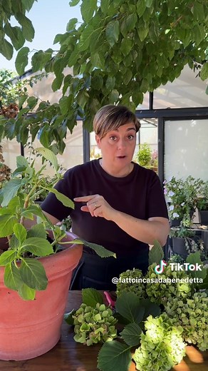 POTATURA DELLE ORTENSIE 🌸 Le ortensie stanno iniziando a perdere colore ed è il momento giusto per una bella potatura. Se la facciamo nel modo corretto, la pianta avrà le energie giuste per regalarci una bella fioritura l’anno successivo ❤️ #BenedettaRossi #fattoincasadabenedetta #fattoincasapervoi #potaturaortensie #giardinaggio