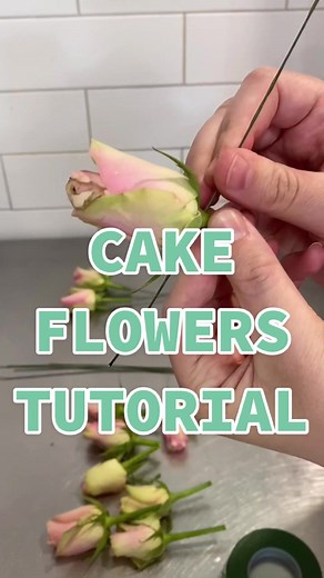 TikTok - Make Your Day