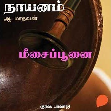 Meesai Poonai - A Madhavan