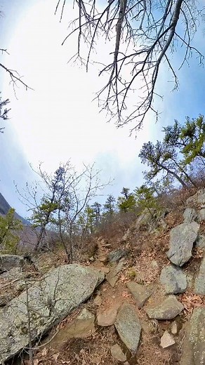 Climbing the rocky ridge of Mount Tekoa. Reservoir Road in Westfield gets hikers into the Grace Robson Sanctuary in Montgomery (red blaze) for great hiking, both beautiful and historical. This area includes Falley's Armory, Homestead and Unkamit's Path (white blaze) which takes hikers up the rocky nose of Mount Tekoa. We are hiking here May 27th sign up at www.hilltownhikers.com #hikethehilltownhistory #hikethehilltowns with the #westernmasshilltownhikers #discoverthehilltowns #visitthehills #hi