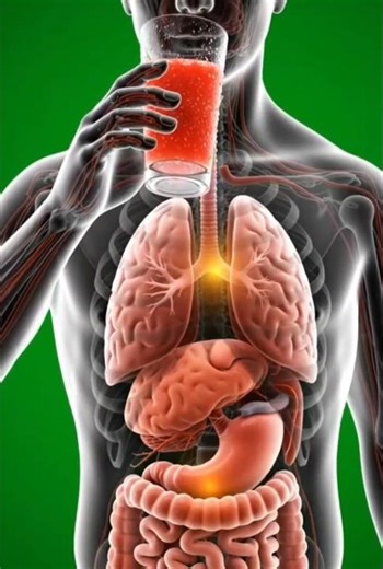 Watermelon Effects on Your Body Explained! 🍉