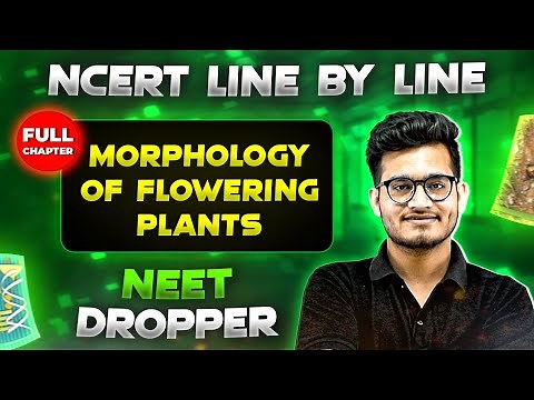 Morphology of Flowering Plants FULL CHAPTER | NCERT Class 11th Botany | Chapter 4 | Yakeen NEET