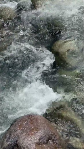 Natural river sounds no mucic (relaxation, sleeping) #watersounds #riversoundsfordeepsleep #shorts