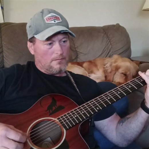 Interlude master of puppets. #metallica #goldenretriever #guitarcover