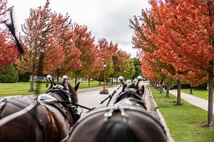 Mackinac Island has fall travel deals, from big resorts to cozy B&Bs