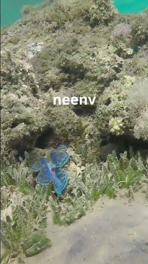 The Cambrian Explosion: Unraveling the Dawn of Complex Animal Life