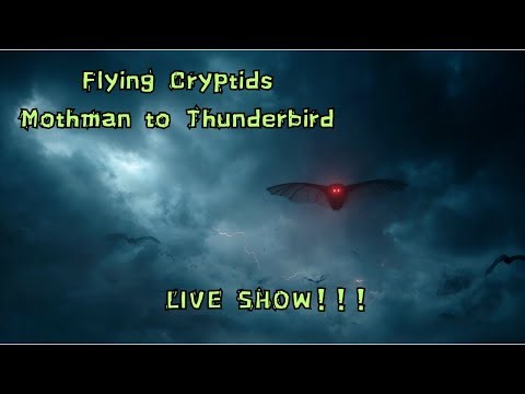 Flying Cryptids: Mothman to Thunderbird