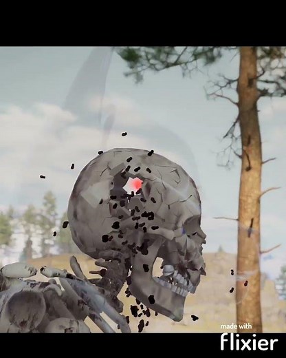 Furry Sniper + Aim Trainer