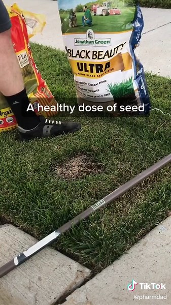 Quick Dead Spot Lawn Repair Tips | Grasswave & Lawn Care Nut