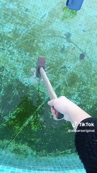 AkBars (@akbarsoriginal)’s videos with Originalton - AkBars