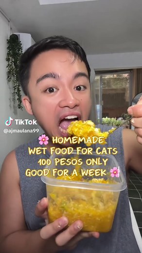 Homemade Wet Food Recipes for Cats
