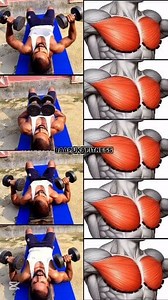 Dumbbells Chest Press Workout At Home 💯✅ - 4 Set * 8-12 reps - #baapukafitness #satrudhankumarsutihar #fitnesstips #fitnessjourney #fitnessgoals #fitnessmotivation #fitnessmodel #fitness #chestworkout #explore | Baapu Ka Fitness