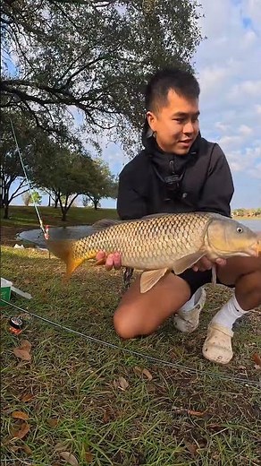 Automatic fishing hook setter fishing gear and tools #fishing #fishinggear #fishingaccessories #fish
